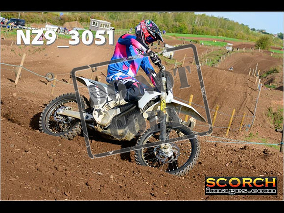 Experts-244