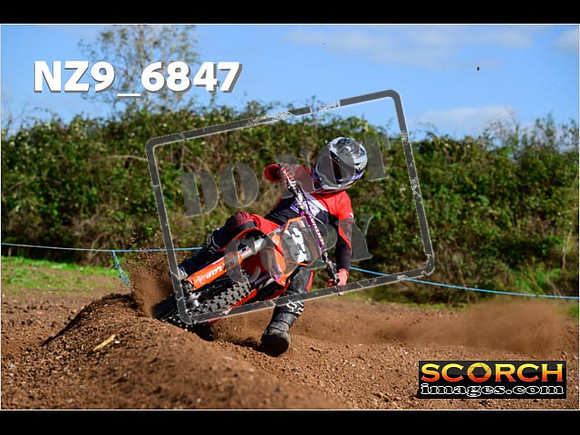 Experts-342