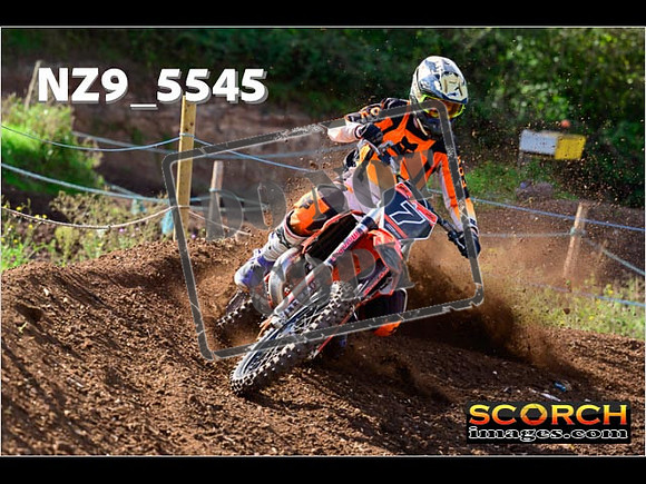 Experts-099