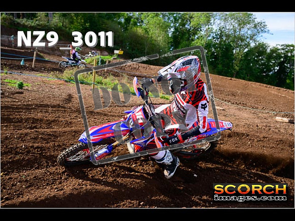 Experts-205