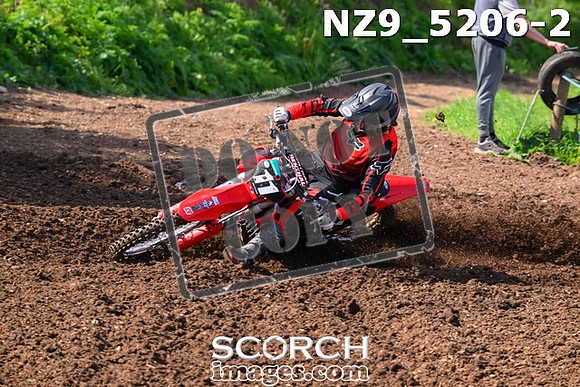 NZ9_5206-2