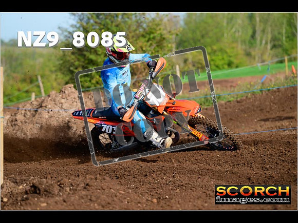 Experts-079