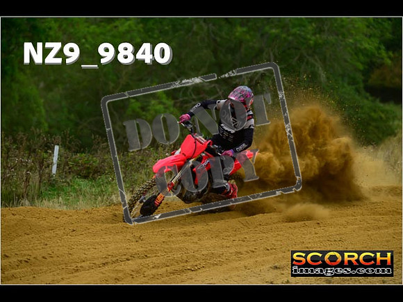 Experts-259