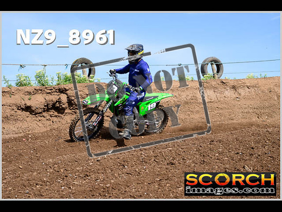 Intermediate Green-089