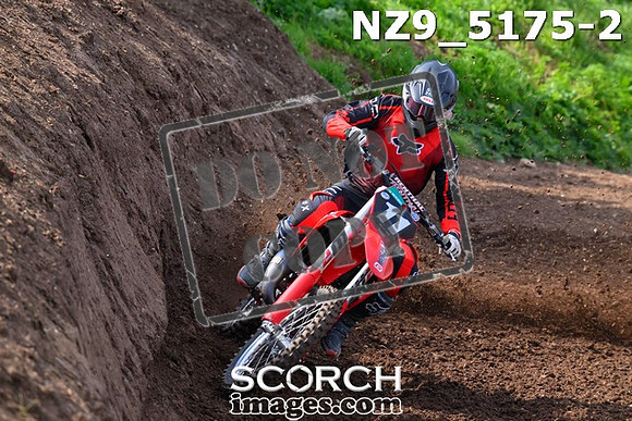 NZ9_5175-2