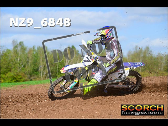 Experts-343