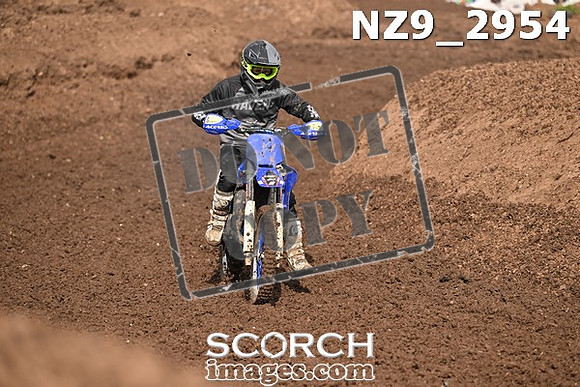 NZ9_2954