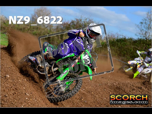 Experts-317