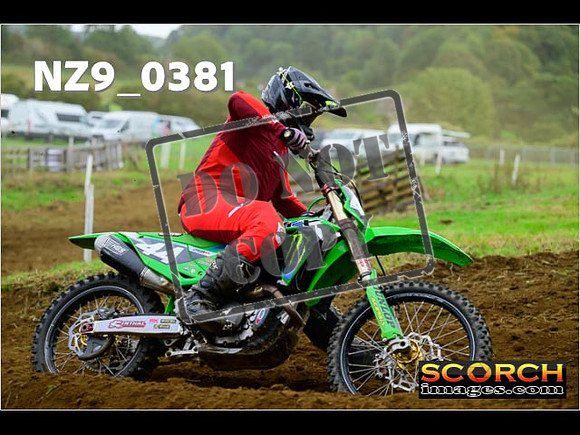 Experts-329