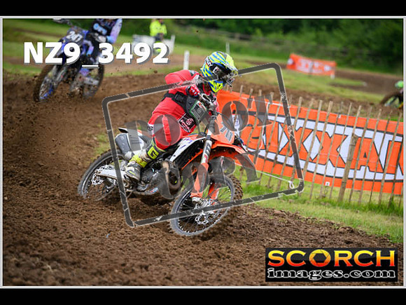 LDR Wed 31-May Experts-006