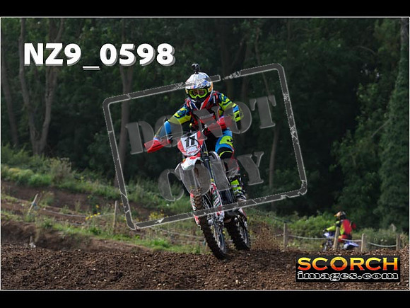 Intermediates-097