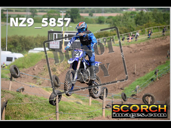 Apex Sat 03-Jun Experts-173