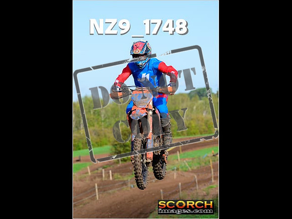 Experts-175