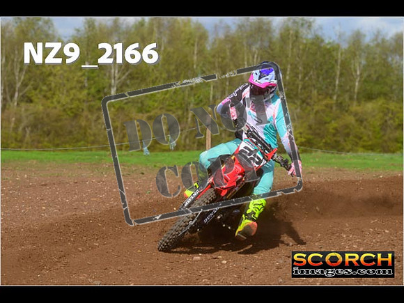 Experts-295