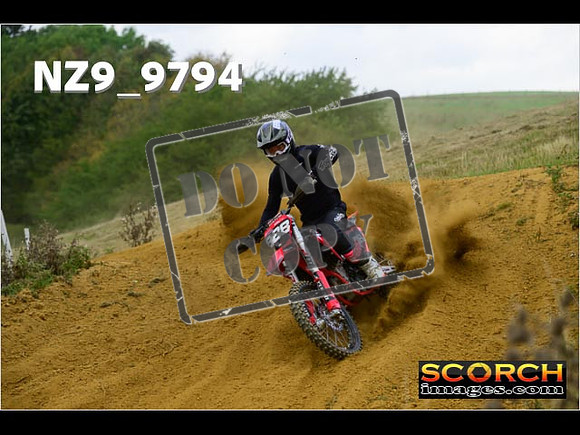 Experts-216