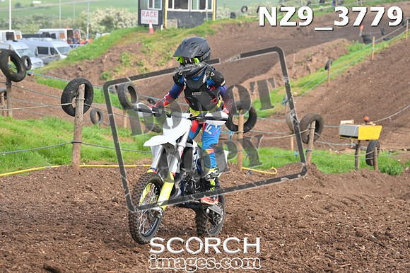 NZ9_3779