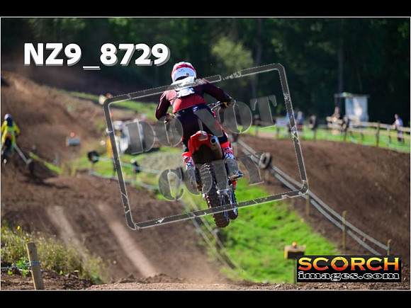 Experts-231