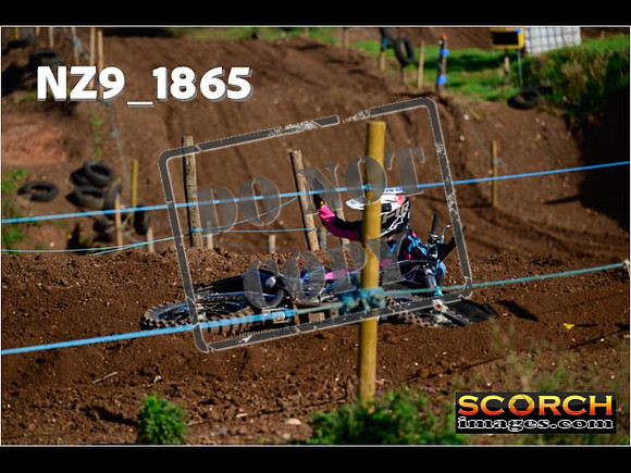 Inters-239