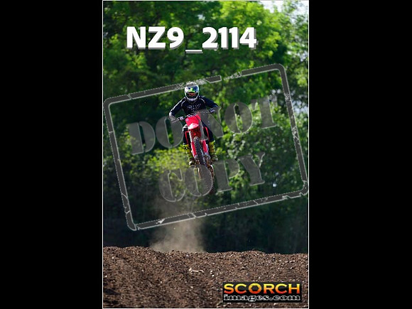 Experts-248