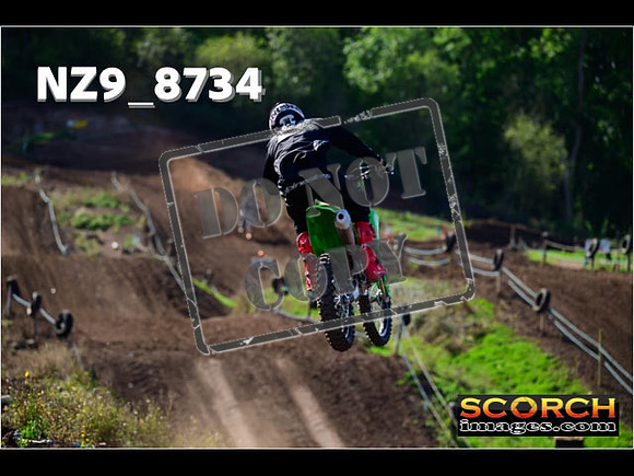 Experts-236