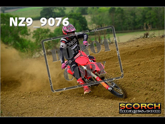 Experts-119