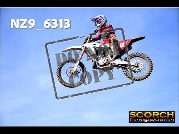 Experts-161