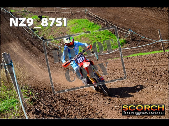 Experts-252