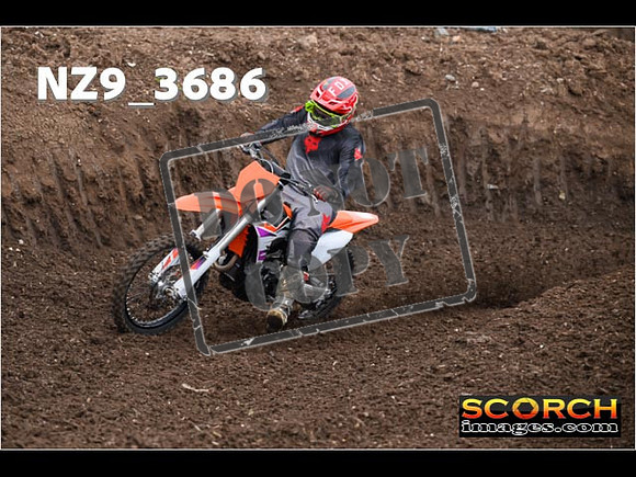 IntersGreenOrange-051