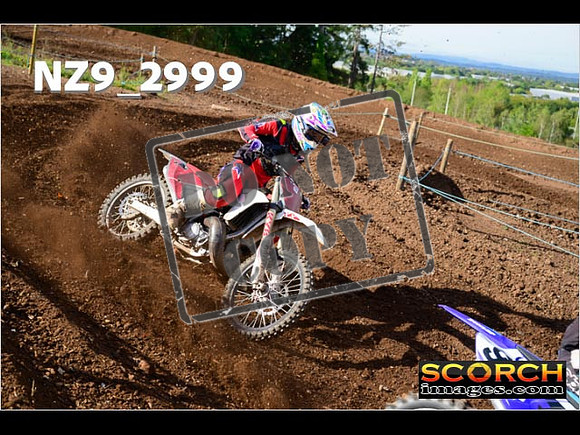Experts-193