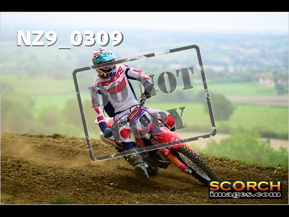 Experts-264