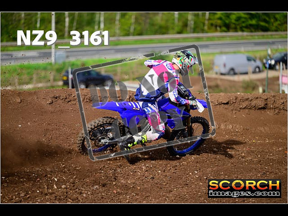 Inters-225