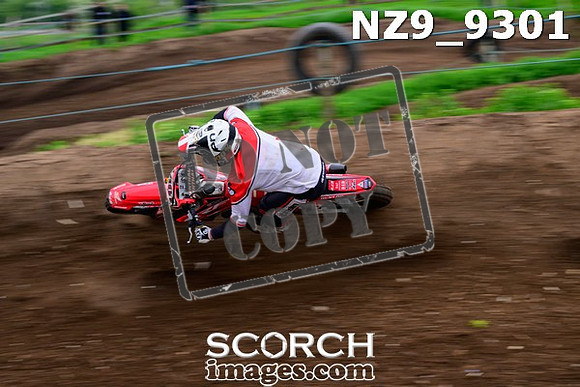NZ9_9301