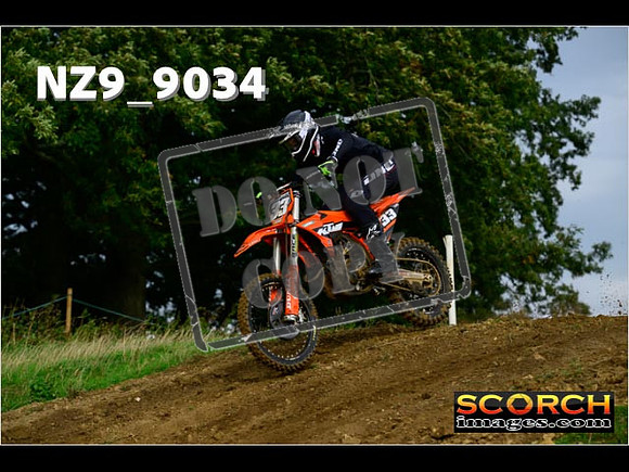 Experts-079