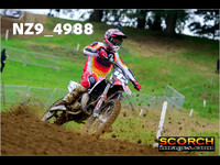 Experts-012
