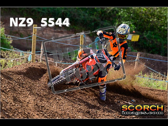 Experts-098