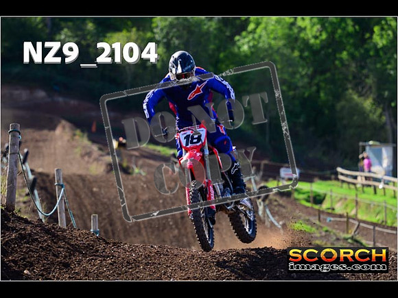 Experts-239