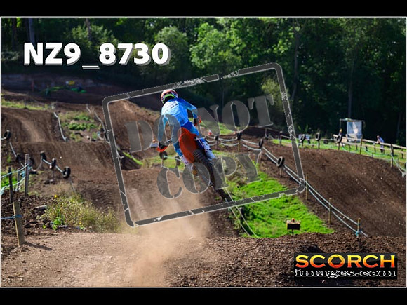 Experts-232