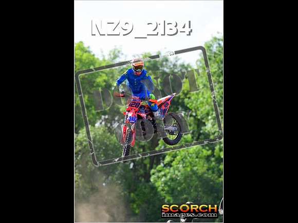 Experts-268