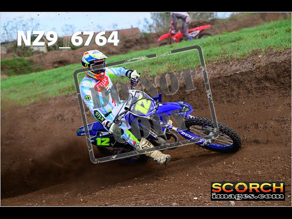 Experts-263