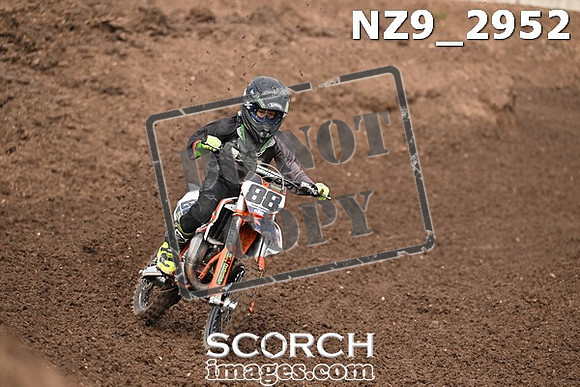 NZ9_2952