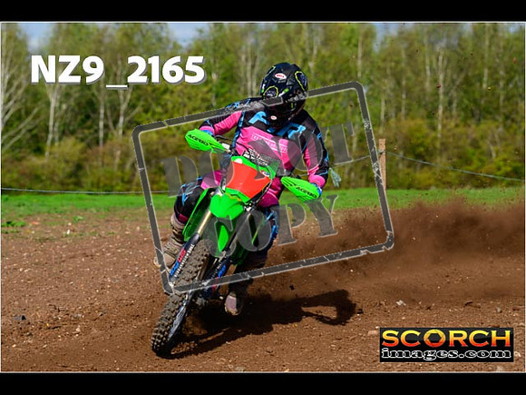 Experts-294
