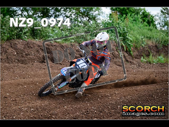 IntersGreen-039