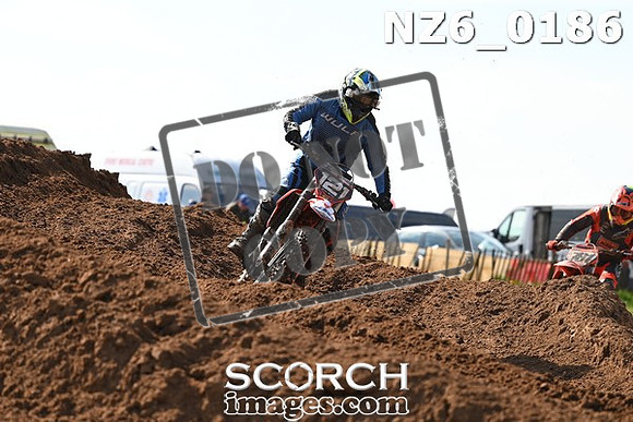 NZ6_0186