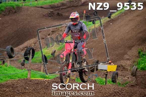 NZ9_9535