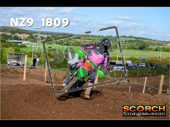 Experts-233