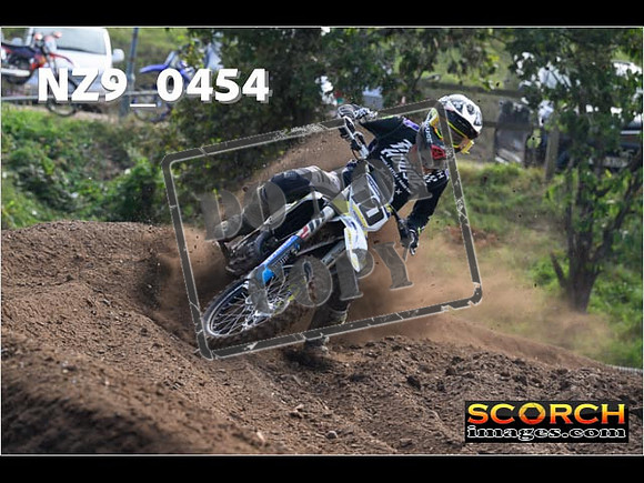 Experts-050