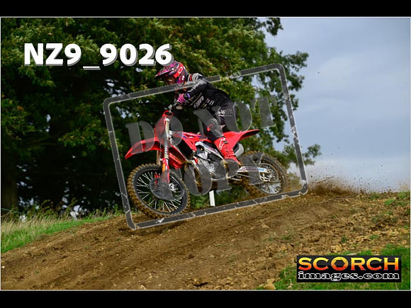 Experts-071