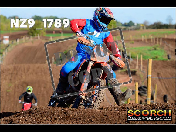Experts-215