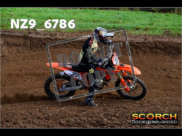 Experts-283
