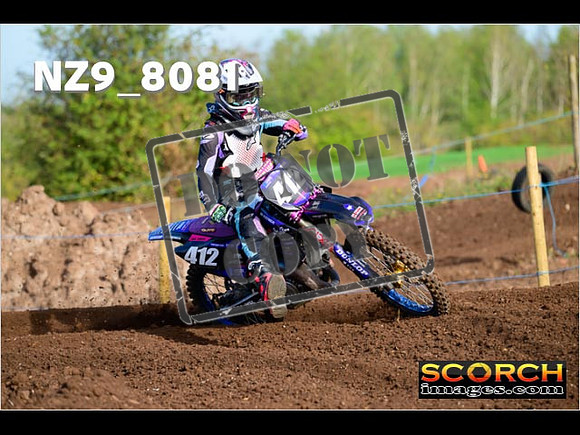 Experts-075